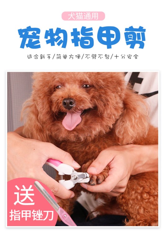 寵物指甲剪 狗指甲剪狗指甲鉗寵物用品美容指甲刀泰迪貓咪指甲剪