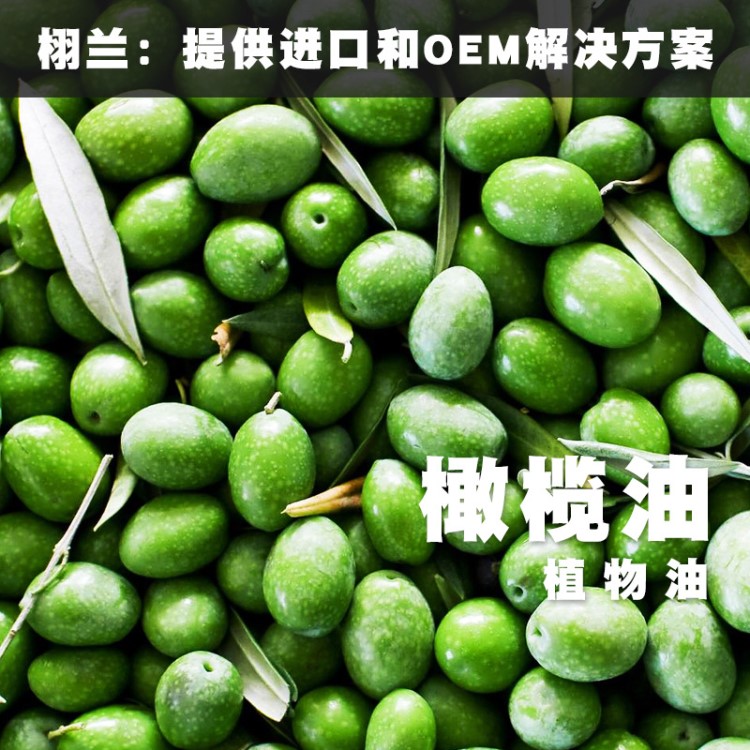 預(yù)定中 栩蘭 美國 冷壓初榨橄欖油 Olea europaea 產(chǎn)地西班牙