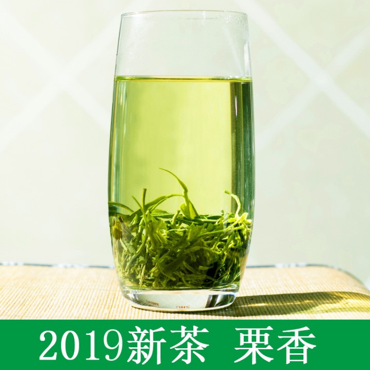 2019新茶蜀茗潤(rùn)四川雅安綠毛峰茶葉散裝明前綠茶500g一件代發(fā)