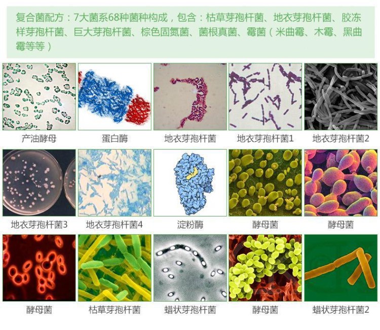 菌益多/豆粕肥/羊糞生物有機(jī)肥/有機(jī)質(zhì)60%/基肥/追肥