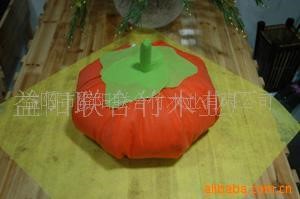 供應(yīng)家居專用竹炭制品