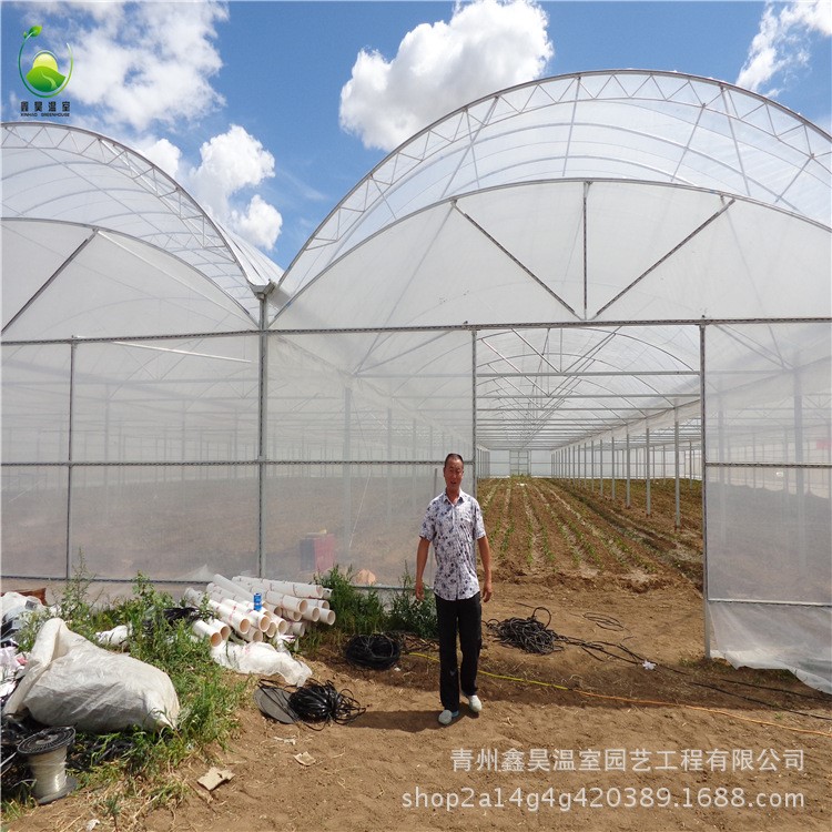 北方农业种植温室 镀锌管大棚骨架 食用菌木耳香菇培养温室报价