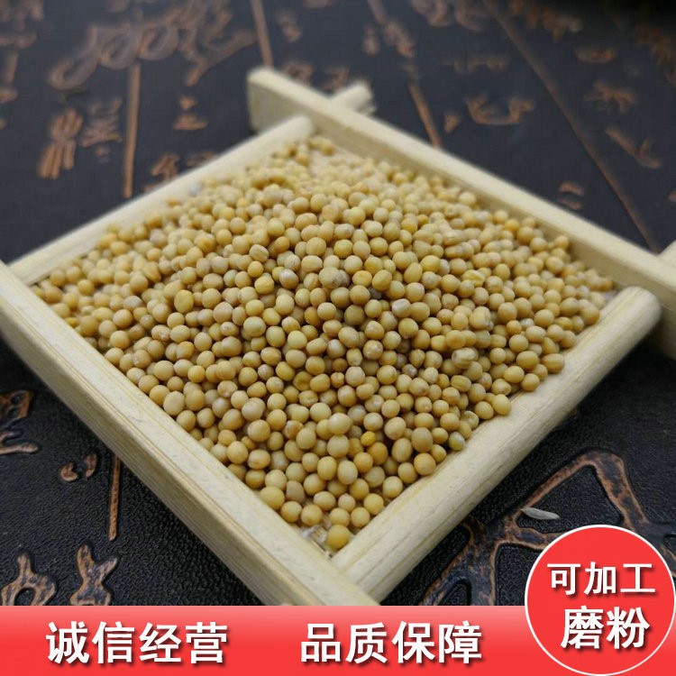 按方配中藥材 白芥子批發白芥子粉生芥末粉 代磨粉