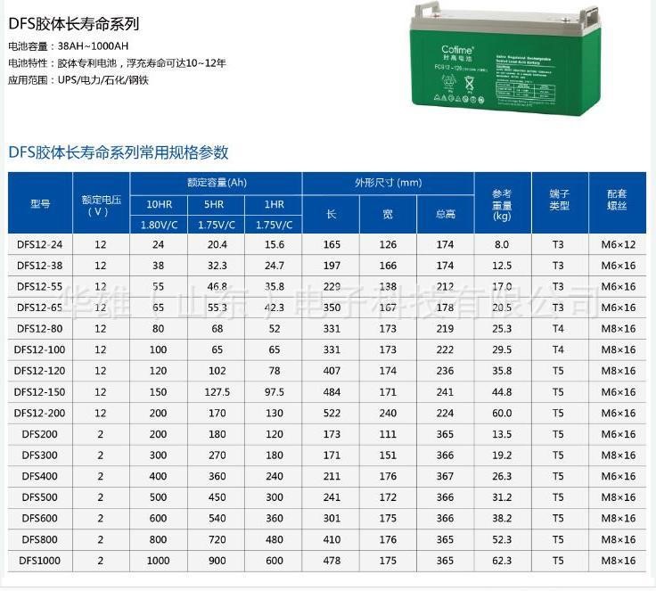 重慶法國(guó)時(shí)高蓄電池DFS12-38膠體型號(hào)參數(shù)