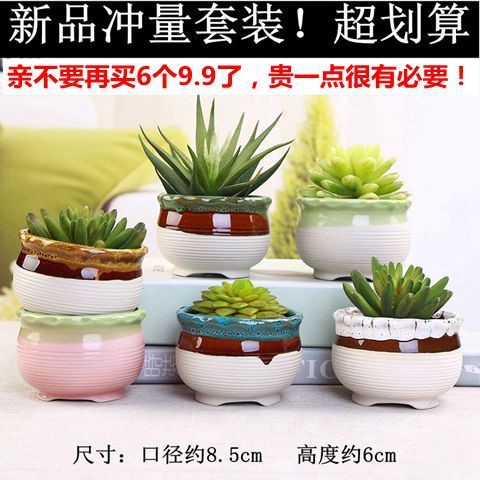 多肉花盆陶瓷批發清倉包郵透氣粗陶創意套裝大口徑肉肉小花盆