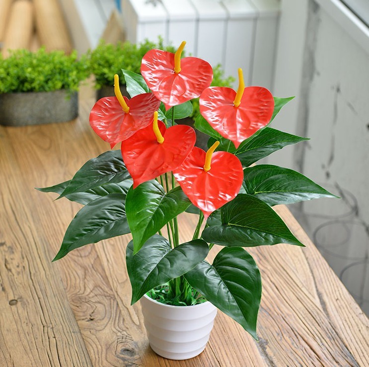 供應仿真植物 小盆景盆栽 家居裝飾仿真花卉 假花批發 18頭大紅掌