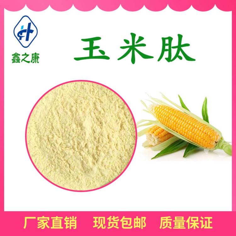 玉米低聚肽粉 80% 小分子多肽 食品級玉米肽粉 現貨包郵