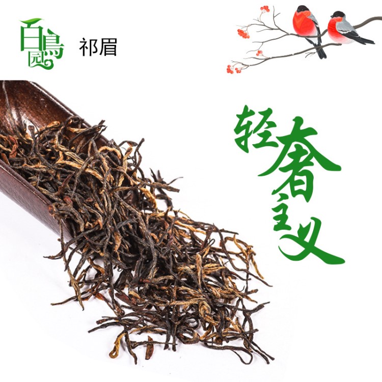 百鳥園茶葉 祁門紅茶散裝批發(fā)  高山茶全手工制作 祁紅毛峰-金針