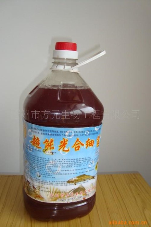 廠農供應光合細菌液體菌種&mdash;&mdash;水產用、農肥用