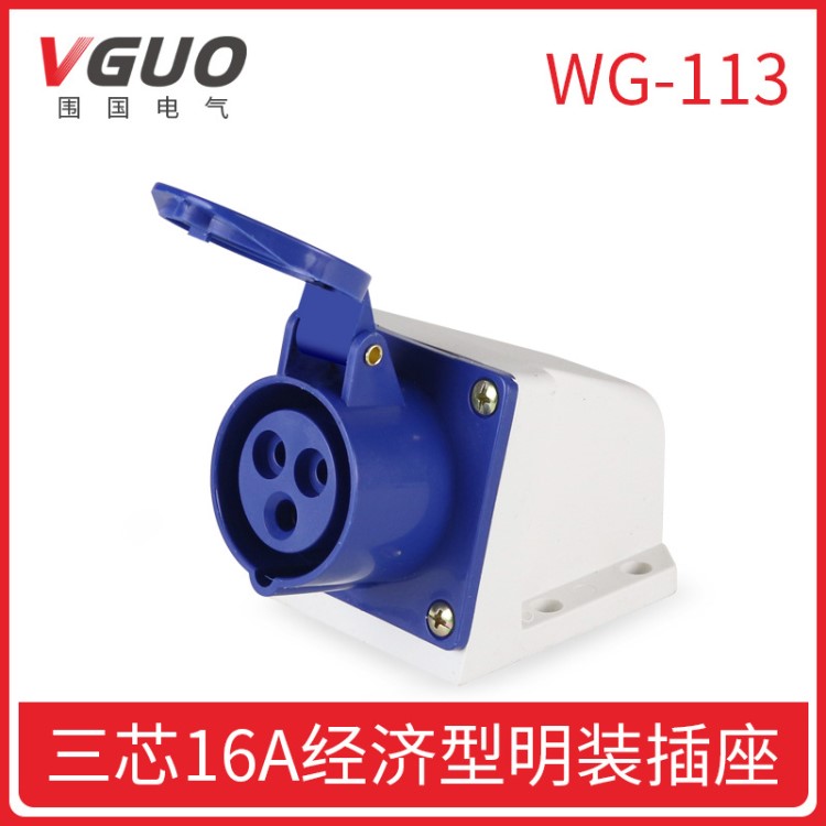 圍國電氣廠家直銷 WG113明裝插座16a3p防水防爆220V工業(yè)插座ip44