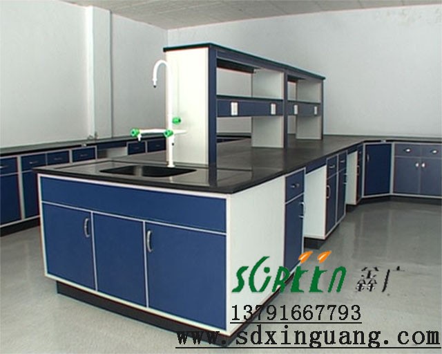 山東濰坊實(shí)驗(yàn)設(shè)備生產(chǎn)廠家實(shí)驗(yàn)室工作臺(tái)操作臺(tái)鋼木實(shí)驗(yàn)臺(tái)定做