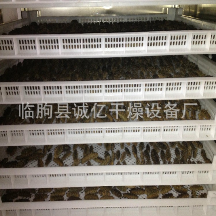 魷魚絲烘干機 干貝扇貝烘干箱 手撕魷魚烘干機 海參 魚干烘干機