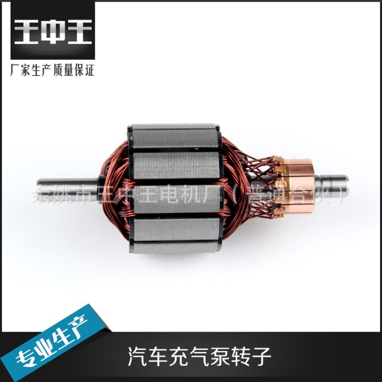 生產(chǎn)轉(zhuǎn)子 適用于車載汽車充氣泵轉(zhuǎn)子 矽鋼電機(jī)全銅轉(zhuǎn)子
