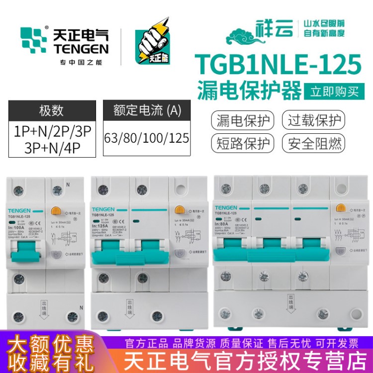 天正電氣TGB1NLE-125漏電保護器斷路器空氣開關漏保2P/3P/4P 100A