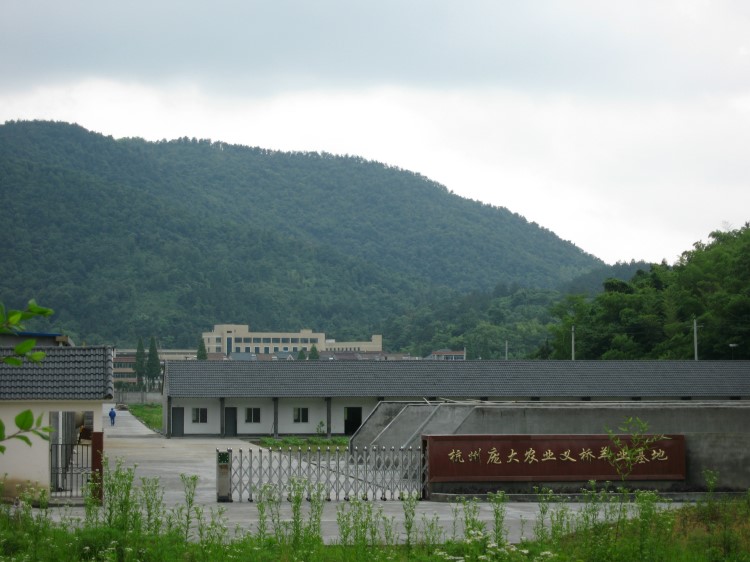 杭州龐大農(nóng)業(yè)湖羊養(yǎng)殖基地