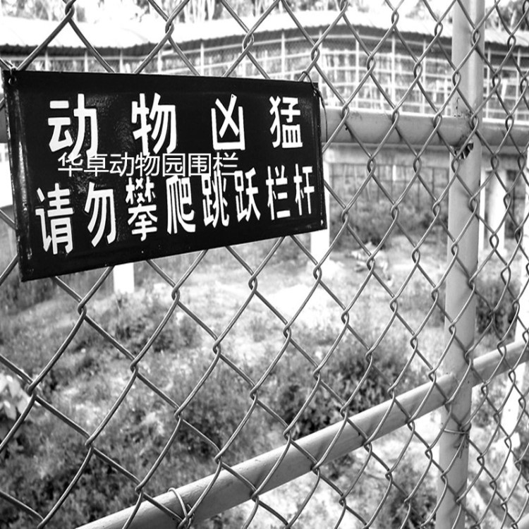防護(hù)網(wǎng)廠家供應(yīng) 野生動物圍欄網(wǎng) 獅子隔離鋼絲繩索編織網(wǎng)