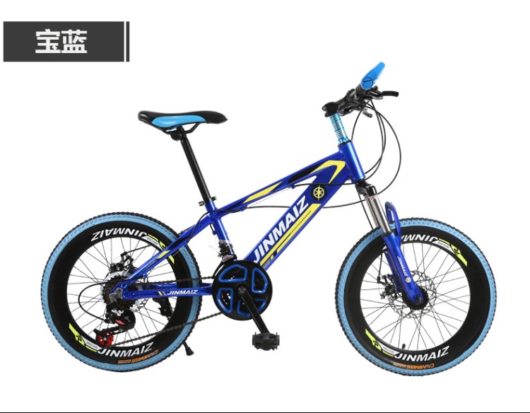 訂制兒童自行車20寸山地單車鋁合金雙碟剎21速變速公路車減震童車