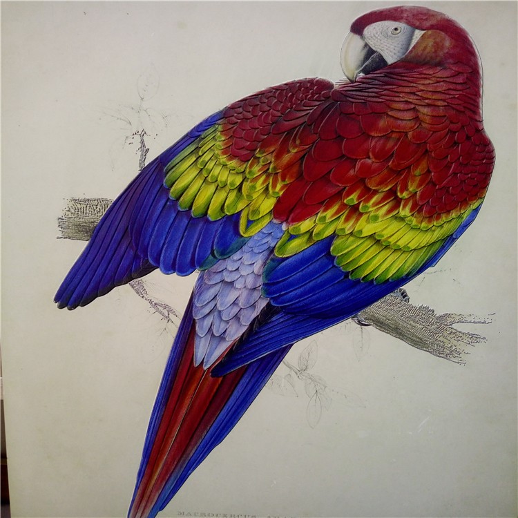 楚雄標(biāo)識(shí)標(biāo)牌指示牌亞克力打印機(jī)  廣告2513uv打印機(jī)價(jià)格