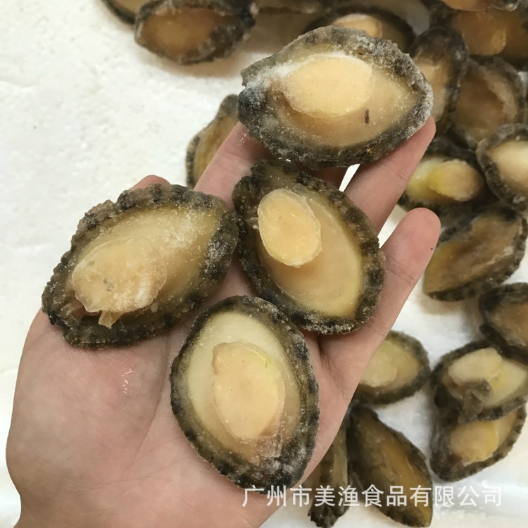 8成熟鮑魚仔 雞煲鮑魚肉 鮑魚粒 冷凍去內(nèi)臟鮑魚 熟凍鮑魚1kg/包