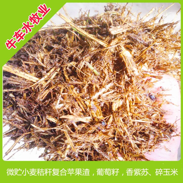 廠價供應(yīng) 新疆牛羊草料 小麥秸稈微儲飼料  蛋白高 水份更低