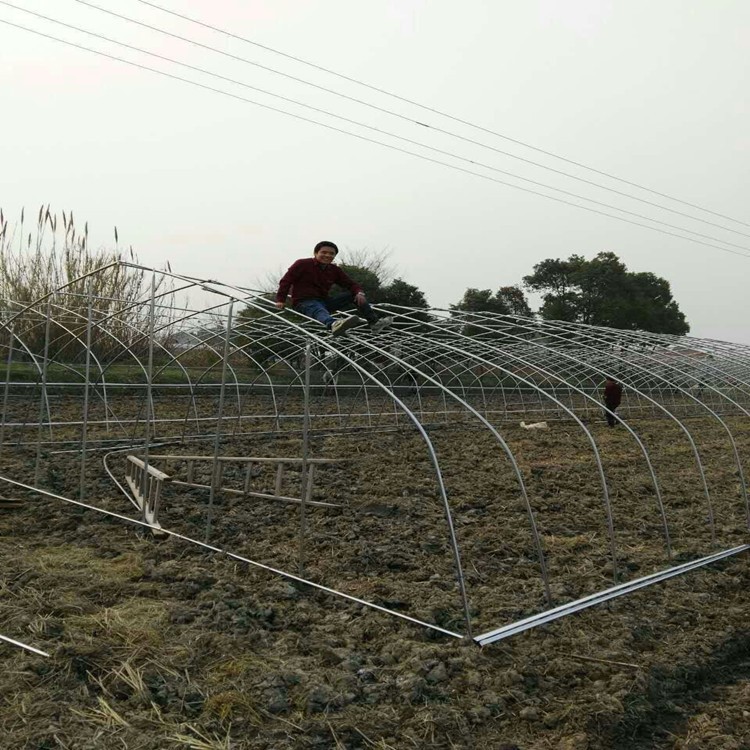 信陽溫室大棚價格   蔬菜大棚管骨架預算