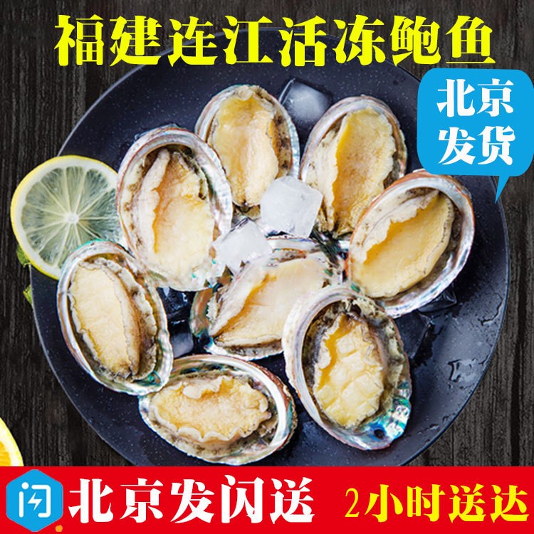 福建連江活凍鮑魚6-18粒新鮮海鮮水產(chǎn)