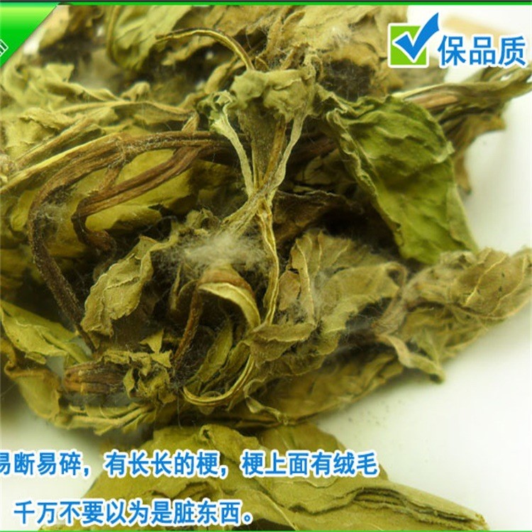 薄荷葉 散裝批發(fā)清涼茶  廠家批發(fā)花草茶量大從優(yōu)另有薄荷粉