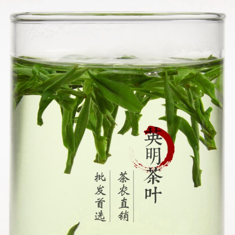 新茶 禮品 大佛龍井茶 英明 木