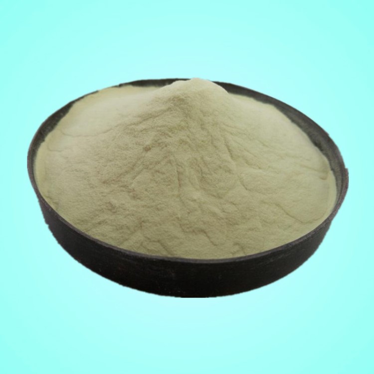 批發供應 豌豆蛋白粉 豌豆蛋白價格 食品級 豌豆蛋白