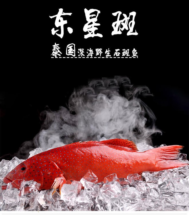 【泰國冰鮮】冷凍紅東星斑燕尾斑海鮮魚類石斑魚需稱重1.2-2斤/條