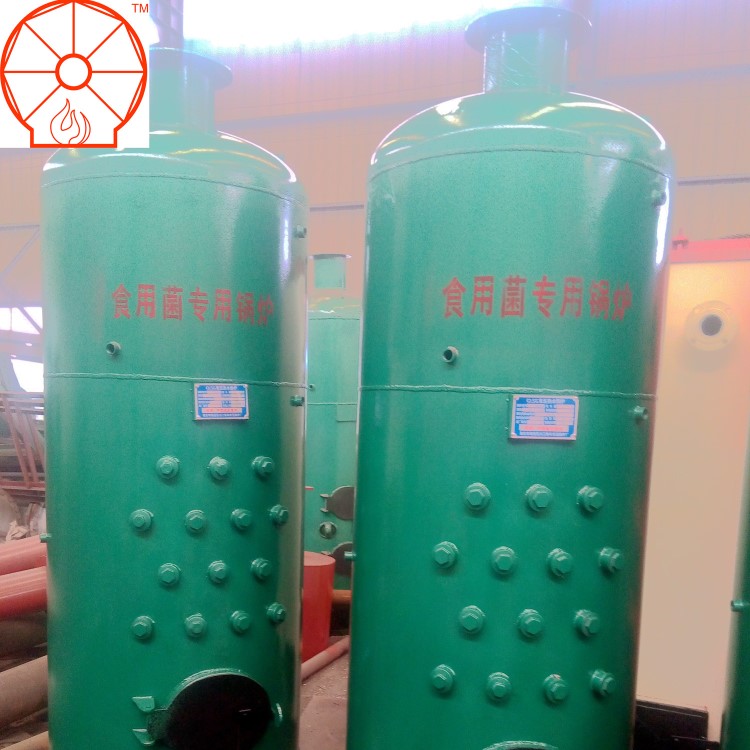 養(yǎng)殖場(chǎng)專用保溫海水加溫養(yǎng)殖地暖熱水暖氣片泰安山口燃煤鍋爐