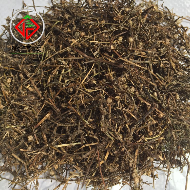 品質(zhì)藥材徽信遠(yuǎn)  野生白花蛇草 白花蛇舌草野生 白花蛇草水原料