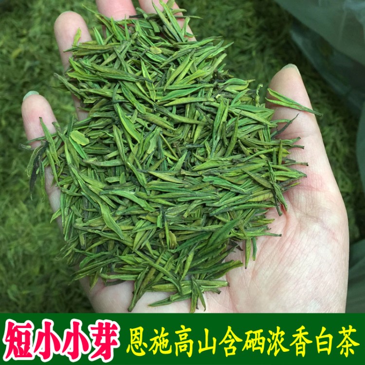 艾达福 含硒白茶 恩施 明前 散装500g  2019年新绿茶 湖北特产