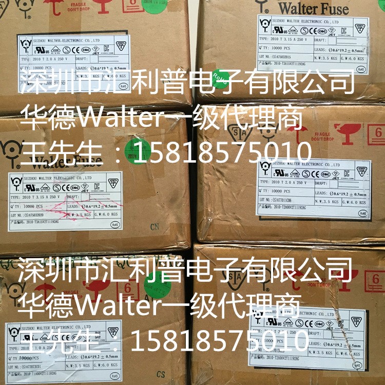 WALTER華德保險絲TNP250V電阻式慢斷3x7.3帶引線