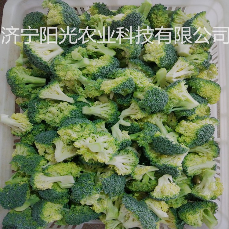 速凍西蘭花 冷凍西藍花  綠色蔬菜 毛豆莢 廠家直銷 可出口日本