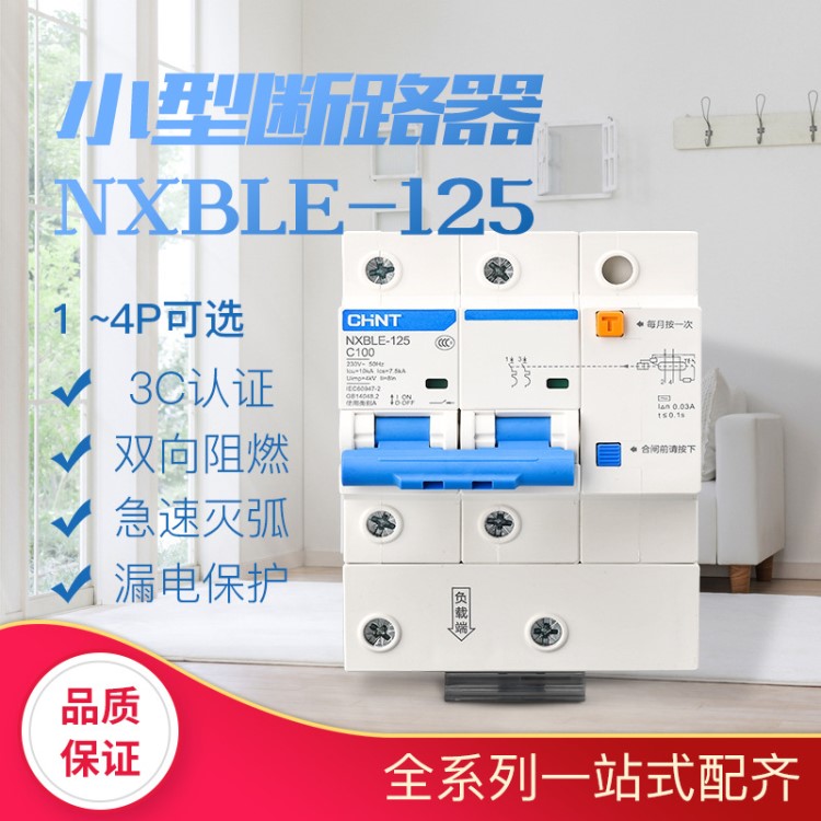 正泰電器昆侖系列NXBLE-125 1P+N 2P 3P 3P+N 4P 漏電小型斷路器