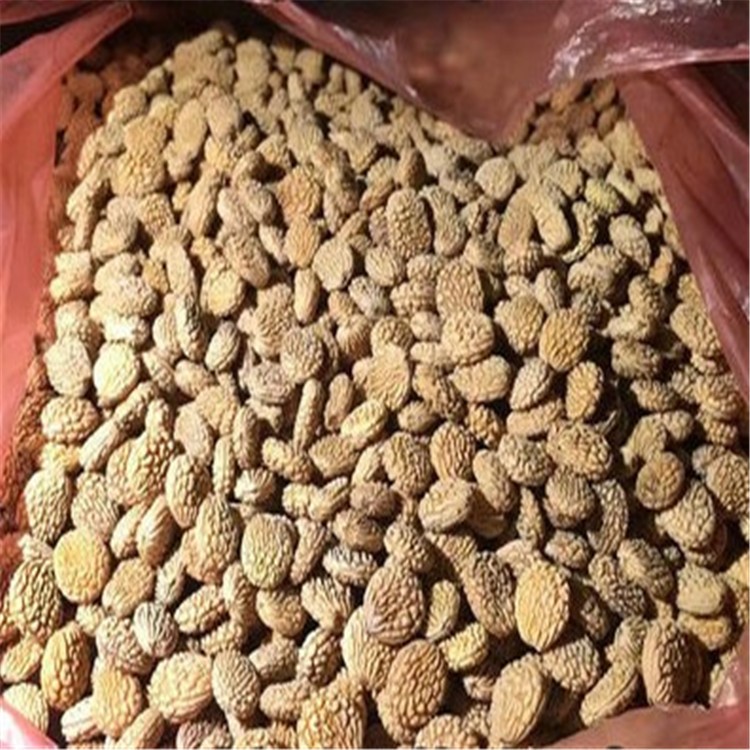 金蝉子种子扁桃木扁担胡子种子佛珠扁核木手串黄花梨金刚木籽菩提