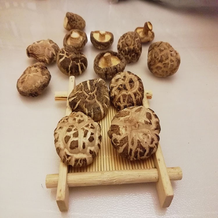 南北干貨 香菇 花菇 農家菇 香菇干3cm 500g 食用菌批發