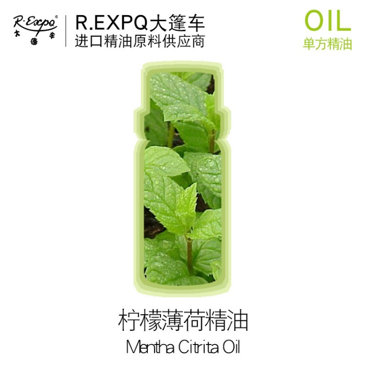 【樣品】檸檬薄荷精油 印度單方精油原料 支持小量批貨