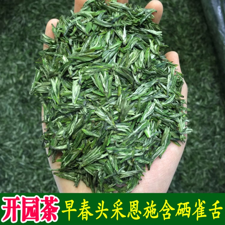 雀舌龍井 豆香含硒  恩施芭蕉玉露 貢芽  綠茶 2019年新茶 明前