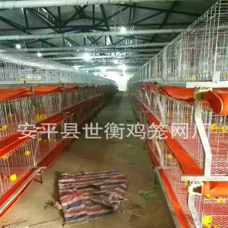 肉雞籠設(shè)備 雞籠自動(dòng)化設(shè)備 整套一條龍服務(wù)