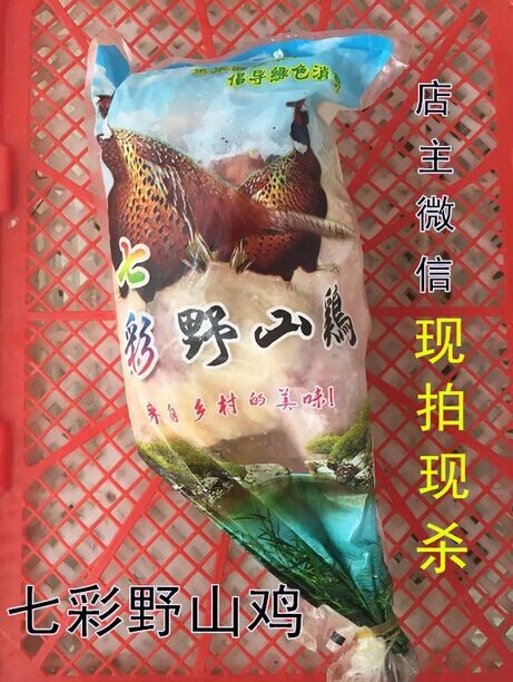 【南山龍鳳】批發(fā)白條野雞白條山雞（5000只）