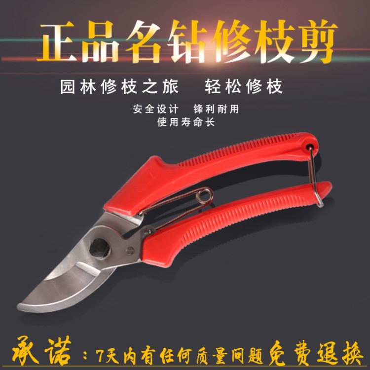 名鉆樹枝剪120園林修枝不銹鋼剪刀果樹修剪枝條家庭園藝工具批發(fā)