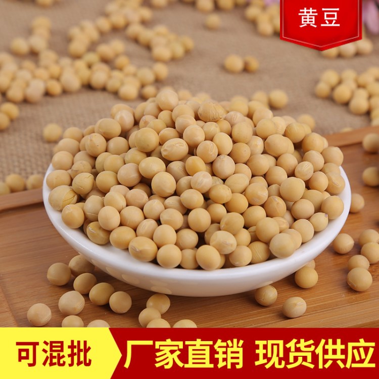 黃豆大量批發(fā) 東北大豆新貨小粒黃豆打豆?jié){芽豆五谷雜糧袋裝91斤