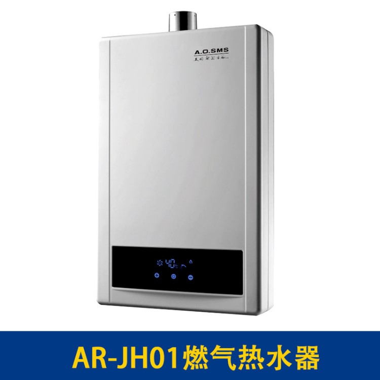 A.O.SMS燃气热水器批发 AR-JH01燃气12升热水器家用恒温天然气