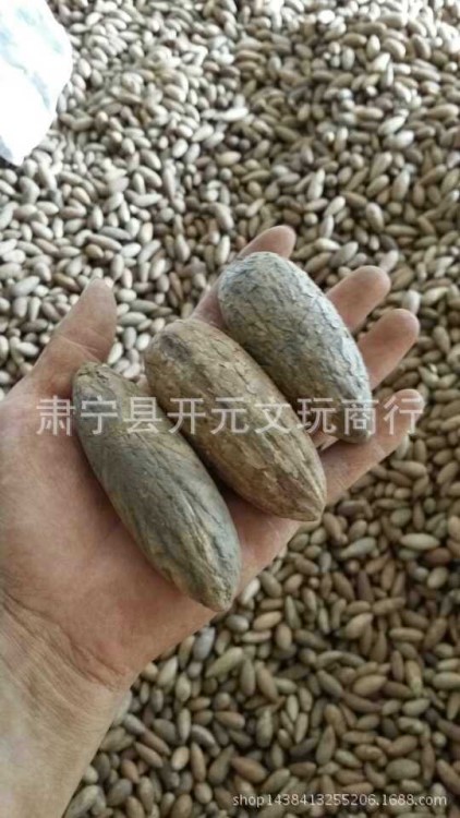 千眼菩提子原籽千眼原果 通貨里面白色和綠色 鱷魚果大量批發(fā)