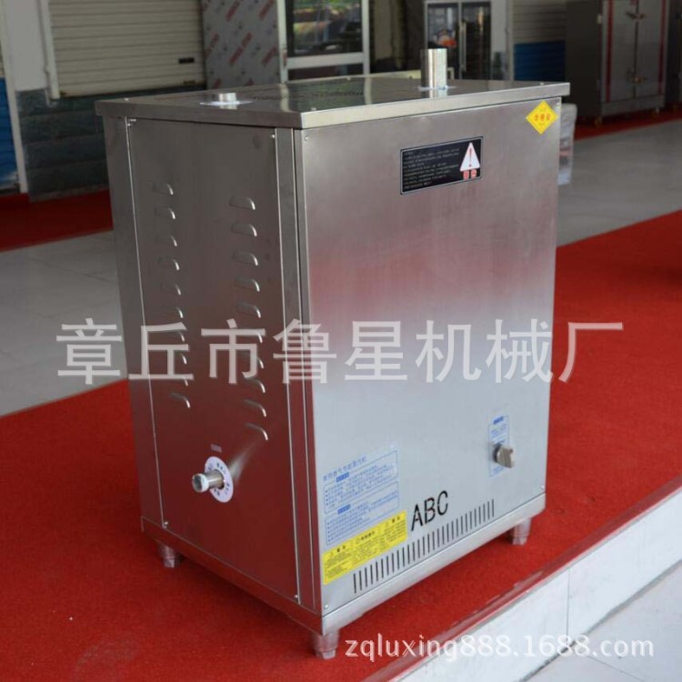 商用燃氣蒸汽發生器 豆腐煮漿機釀酒設備 蒸饅頭壁掛爐