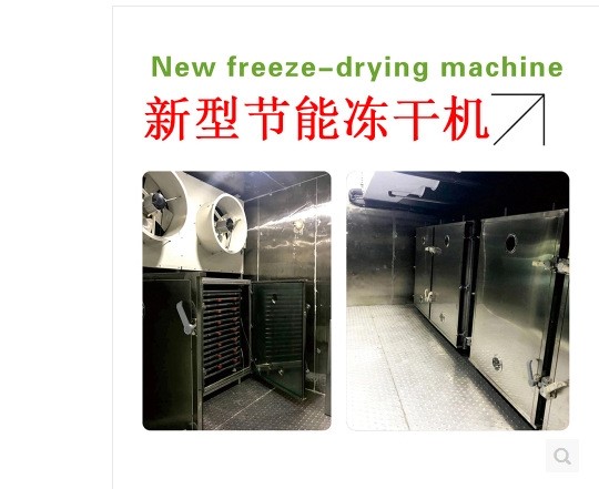 冬蟲夏草真空冷凍干燥機、全自動藥品果蔬凍干機 凍干機