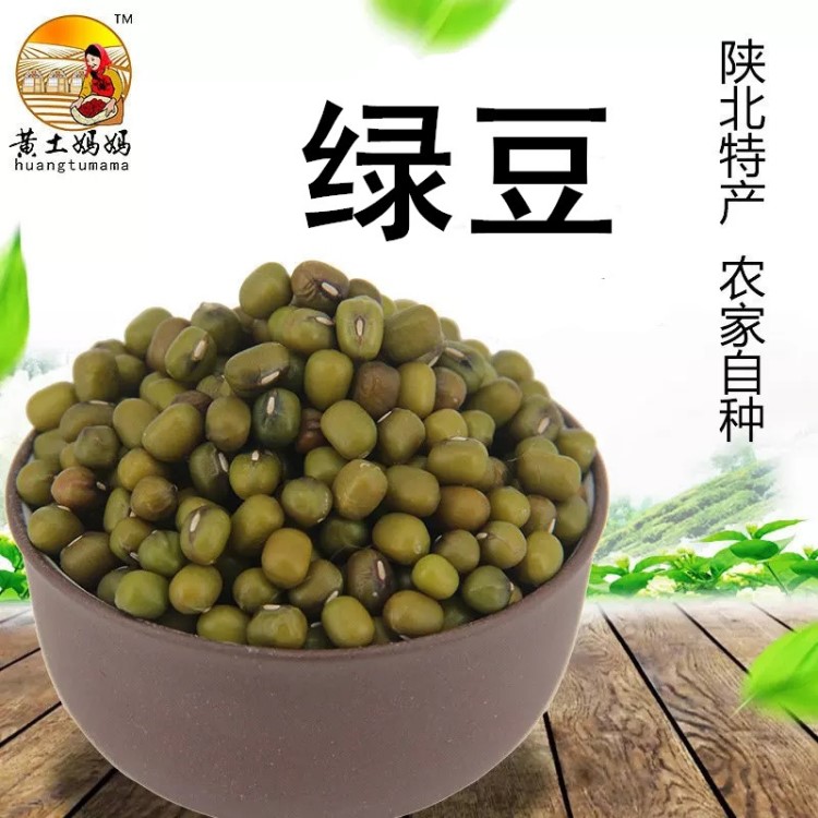 陜北特產(chǎn)農(nóng)家自產(chǎn)綠豆 480g綠豆精裝 五谷雜糧綠豆 散裝綠豆