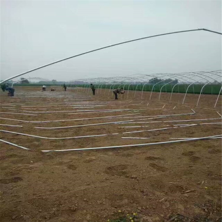 十堰大朋管 荊州蔬菜大棚 宜昌市蔬菜鋼架 荊門市鍍鋅大棚材料